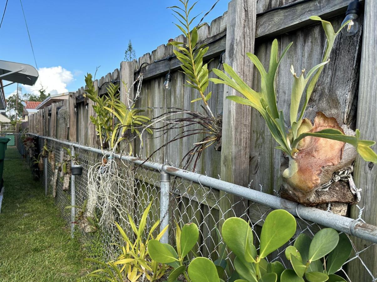 Вілла Miami'S Cozy Tropical Getaway Екстер'єр фото